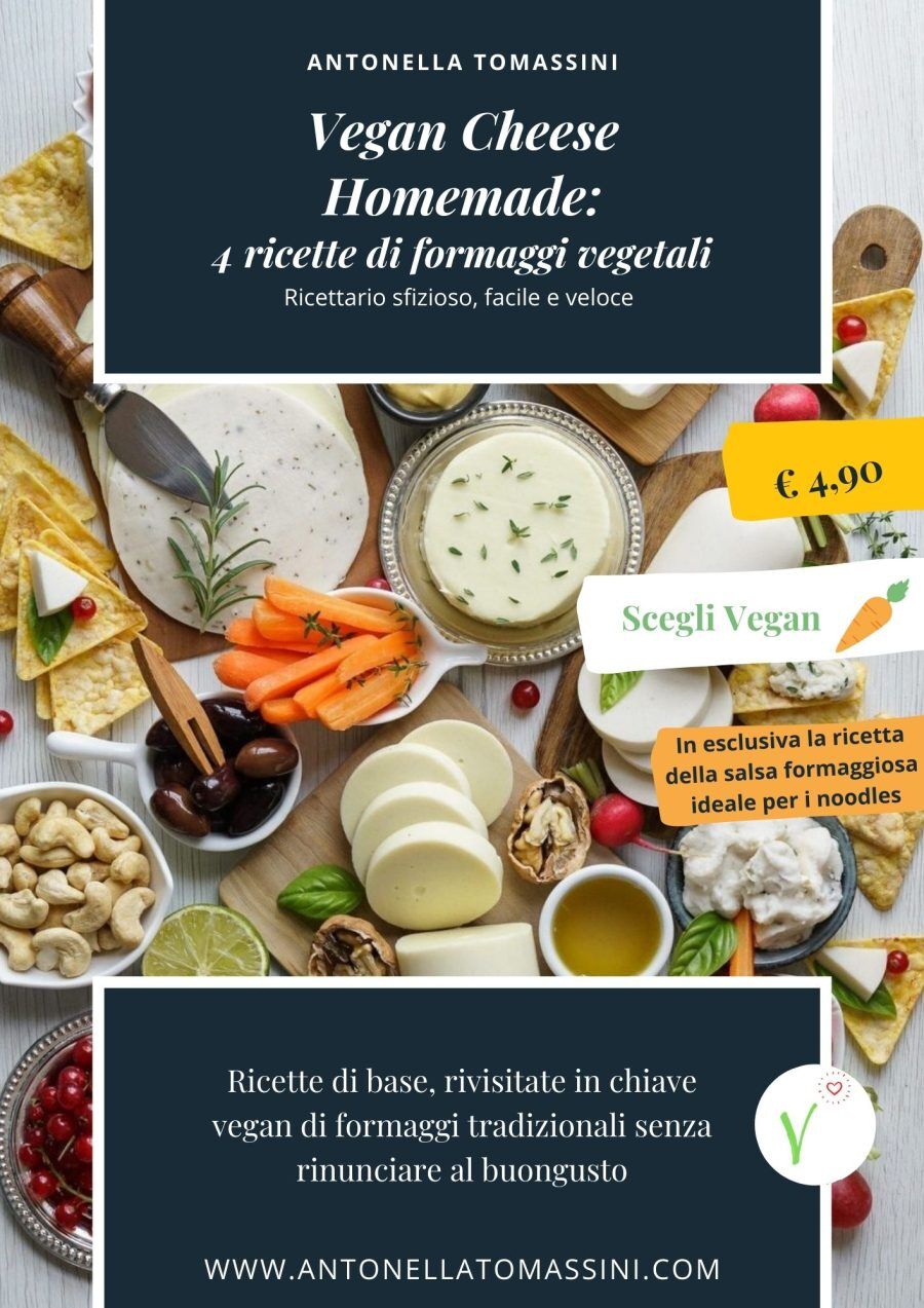 Ricettario Vegan Cheese Homemade n°1